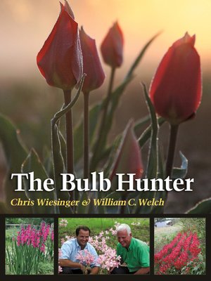 cover image of The Bulb Hunter